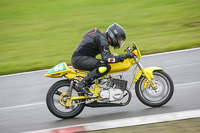 Lower Group Yellow Bikes